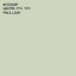 #CED6BF - Pale Leaf Color Image
